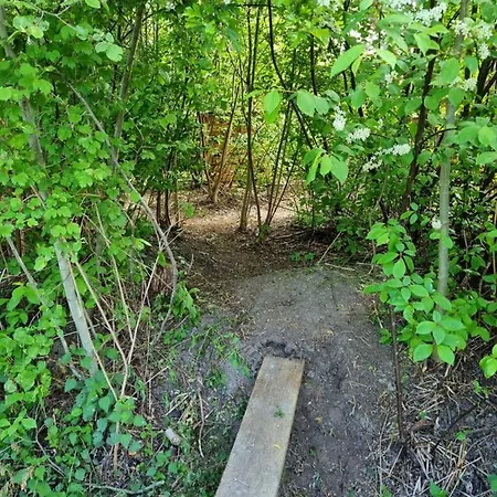 Family Haven: Garden Retreat With Kids' Paradise