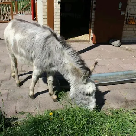 Дом отдыха Family Home, Large Garden, Playground Kids, Firepit, Terraces, Sleeps Max 7 And 1 Babycot, Kids Playroom Inside