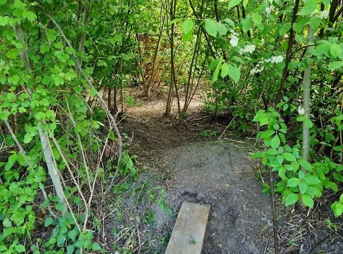 Family Home, Large Garden, Playground Kids, Firepit, Terraces, Sleeps Max 7 And 1 Babycot, Kids Playroom Inside