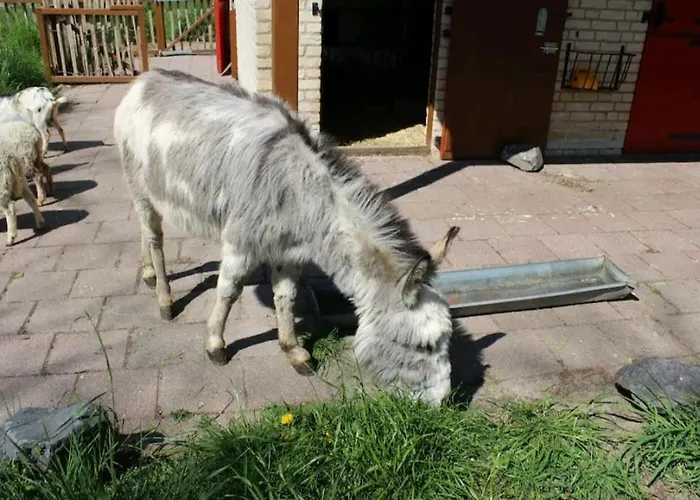 Semesterbostad Family Home, Large Garden, Playground Kids, Firepit, Terraces, Sleeps Max 7 And 1 Babycot, Kids Playroom Inside